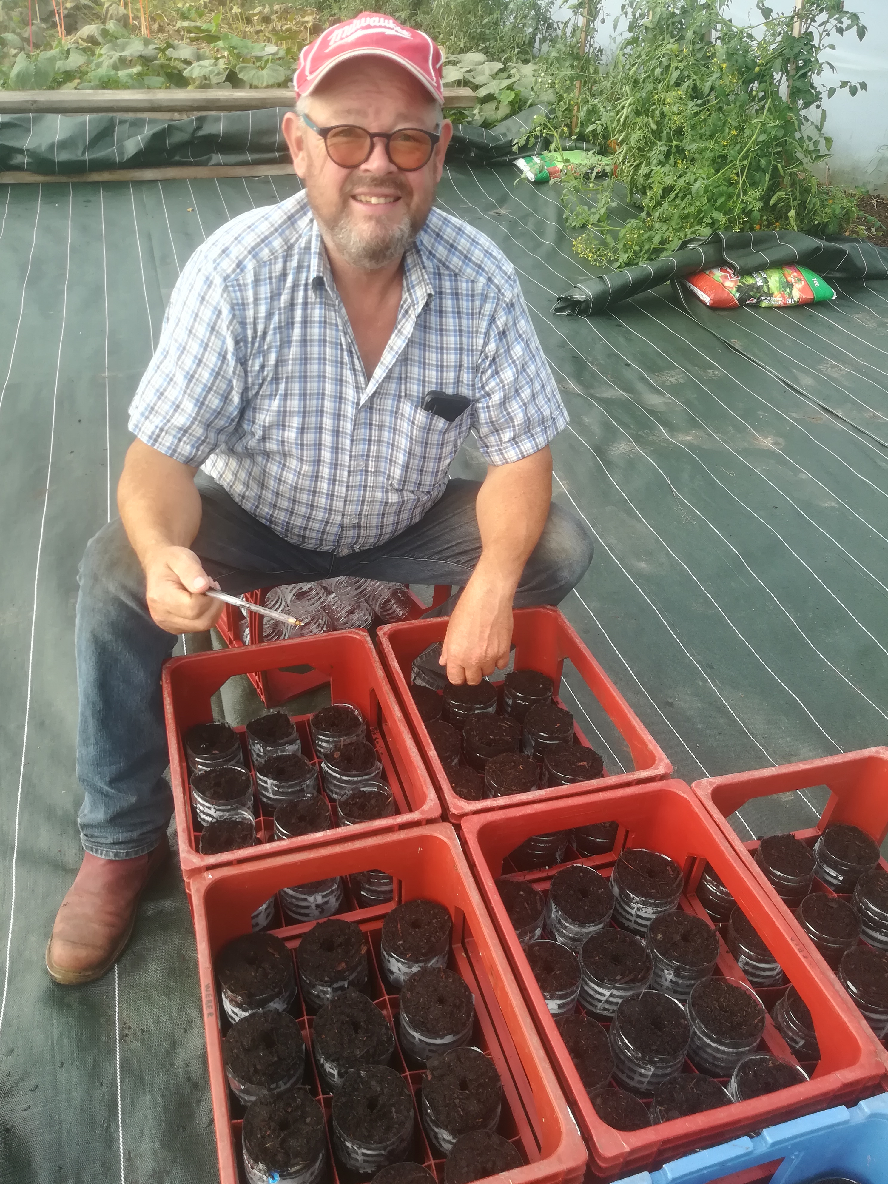 Prépation des plants de bambous